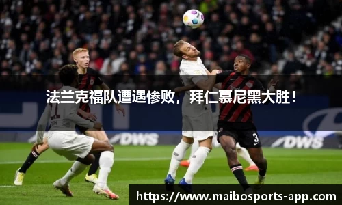 迈博体育平台