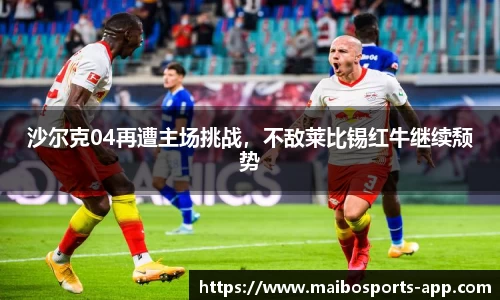 迈博体育官网
